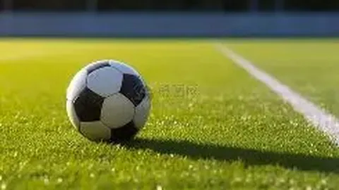 梅艳芳亲属指责传记片，母亲斥责其贪财